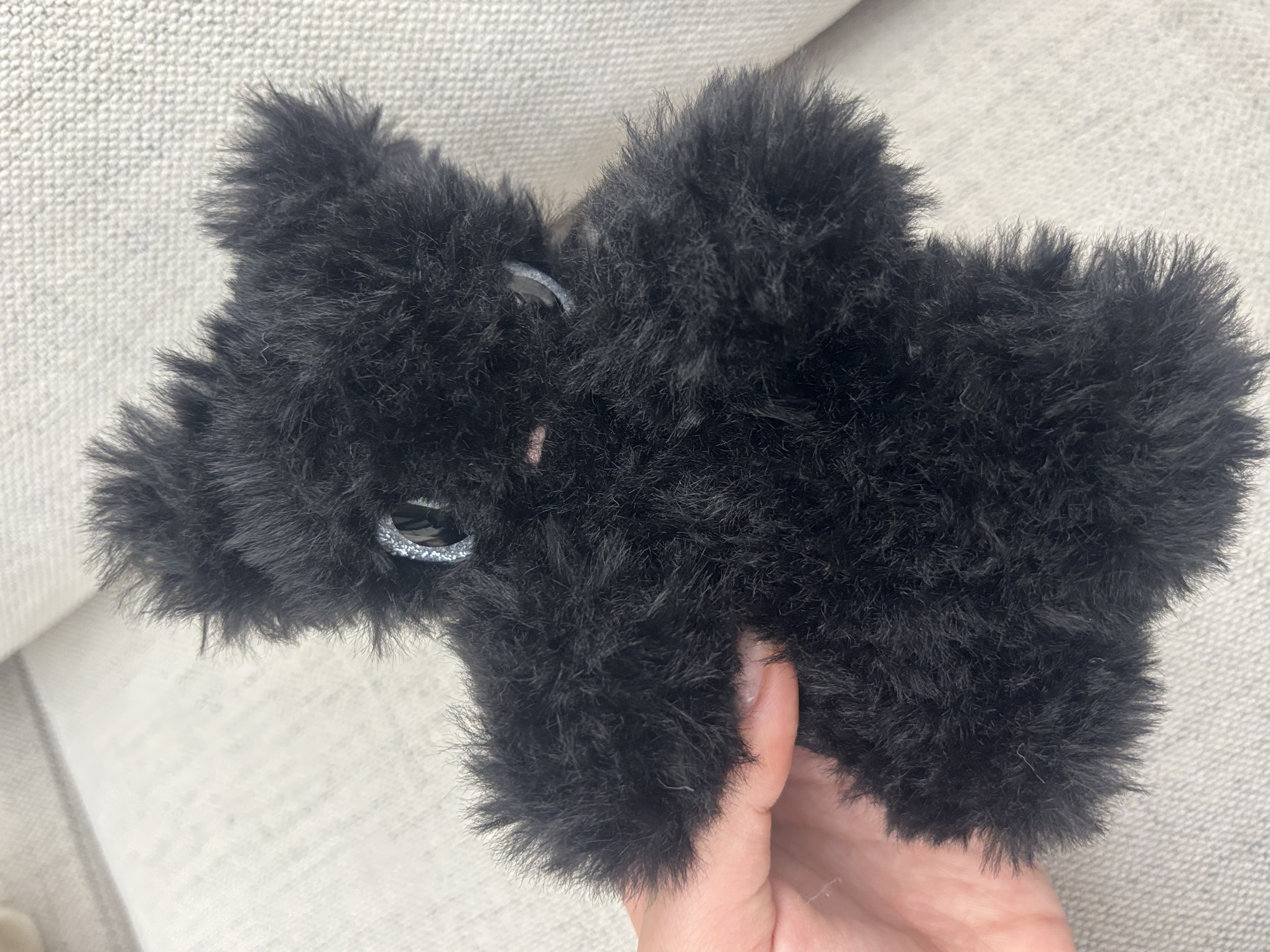 Black Cat 6